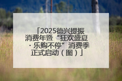 2025德兴提振消费年暨“狂欢盛夏・乐购不停”消费季正式启动（图）