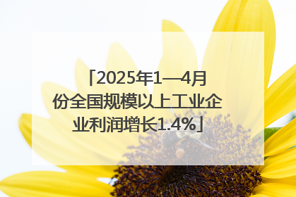 2025年1—4月份全国规模以上工业企业利润增长1.4%