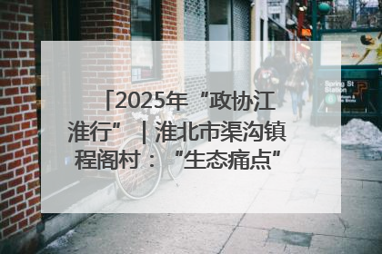 2025年“政协江淮行”｜淮北市渠沟镇程阁村：“生态痛点”变“生态景观”