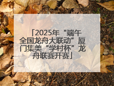 2025年“端午全国龙舟大联动”厦门集美“学村杯”龙舟联赛开赛
