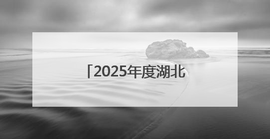 2025年度湖北省中医药适宜技术培训班圆满举办