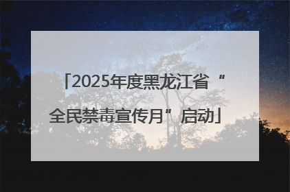 2025年度黑龙江省“全民禁毒宣传月”启动