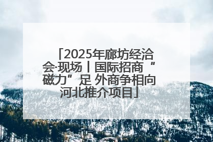 2025年廊坊经洽会·现场丨国际招商“磁力”足 外商争相向河北推介项目