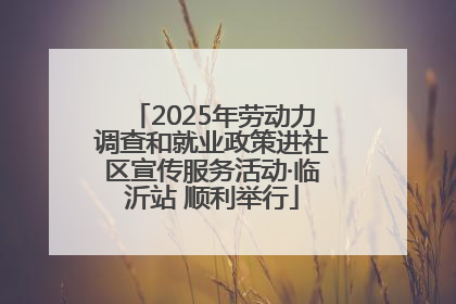 2025年劳动力调查和就业政策进社区宣传服务活动·临沂站 顺利举行