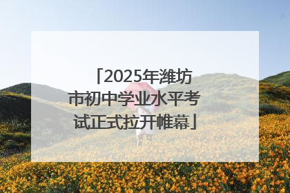 2025年潍坊市初中学业水平考试正式拉开帷幕