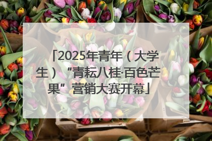 2025年青年（大学生）“青耘八桂·百色芒果”营销大赛开幕