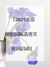 2025北京朝阳国际茶香文化周启动