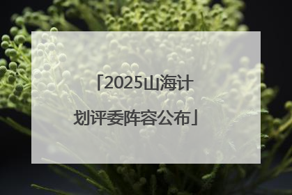 2025山海计划评委阵容公布