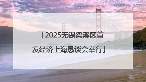 2025无锡梁溪区首发经济上海恳谈会举行