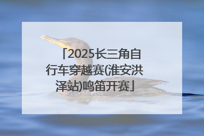 2025长三角自行车穿越赛(淮安洪泽站)鸣笛开赛