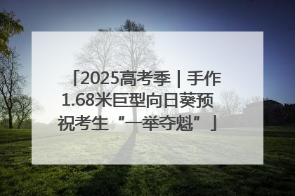 2025高考季｜手作1.68米巨型向日葵预祝考生“一举夺魁”