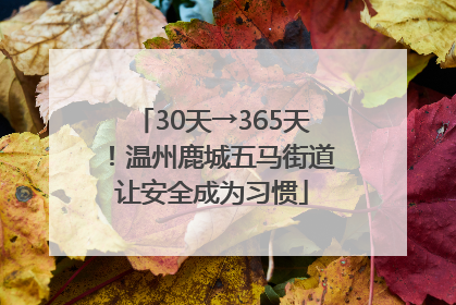 30天→365天！温州鹿城五马街道让安全成为习惯