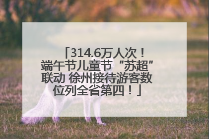 314.6万人次！端午节儿童节“苏超”联动 徐州接待游客数位列全省第四！