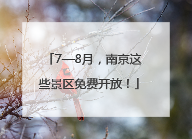 7—8月，南京这些景区免费开放！
