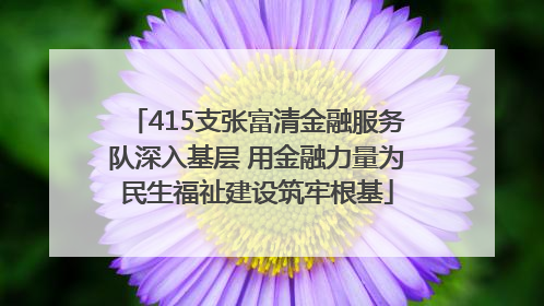 415支张富清金融服务队深入基层 用金融力量为民生福祉建设筑牢根基