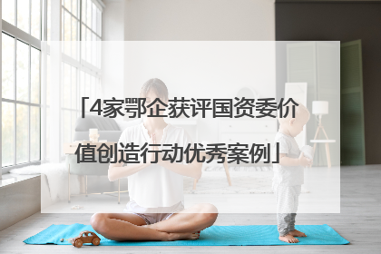 4家鄂企获评国资委价值创造行动优秀案例