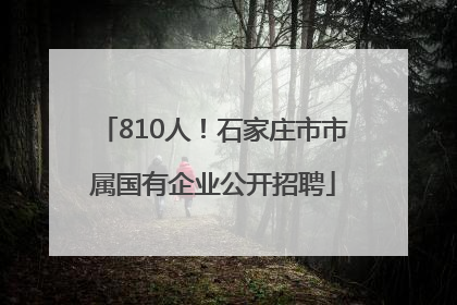 810人！石家庄市市属国有企业公开招聘
