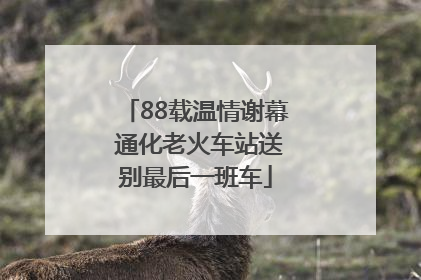 88载温情谢幕 通化老火车站送别最后一班车