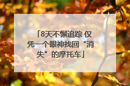 8天不懈追踪 仅凭一个眼神找回“消失”的摩托车