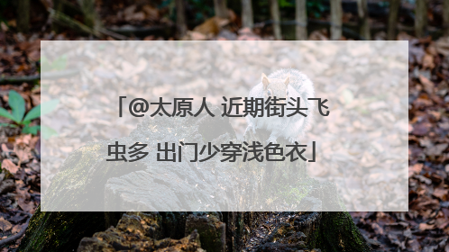 @太原人 近期街头飞虫多 出门少穿浅色衣
