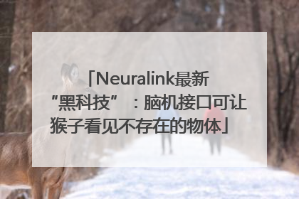 Neuralink最新“黑科技”：脑机接口可让猴子看见不存在的物体