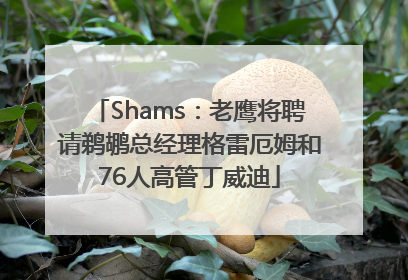 Shams：老鹰将聘请鹈鹕总经理格雷厄姆和76人高管丁威迪